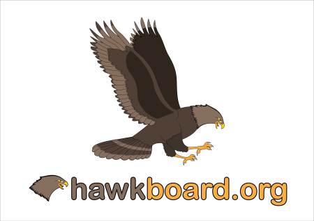 hawk_logo1